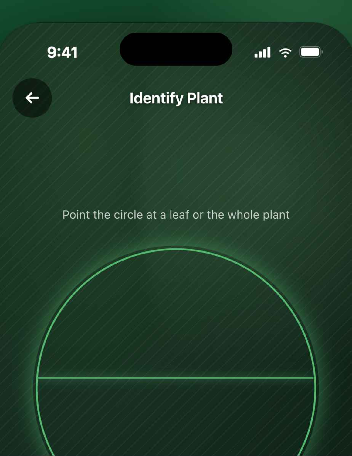 Flora AI plant identification screen